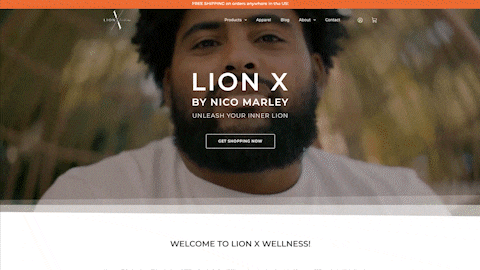 LIONX WELLNESS Website Design